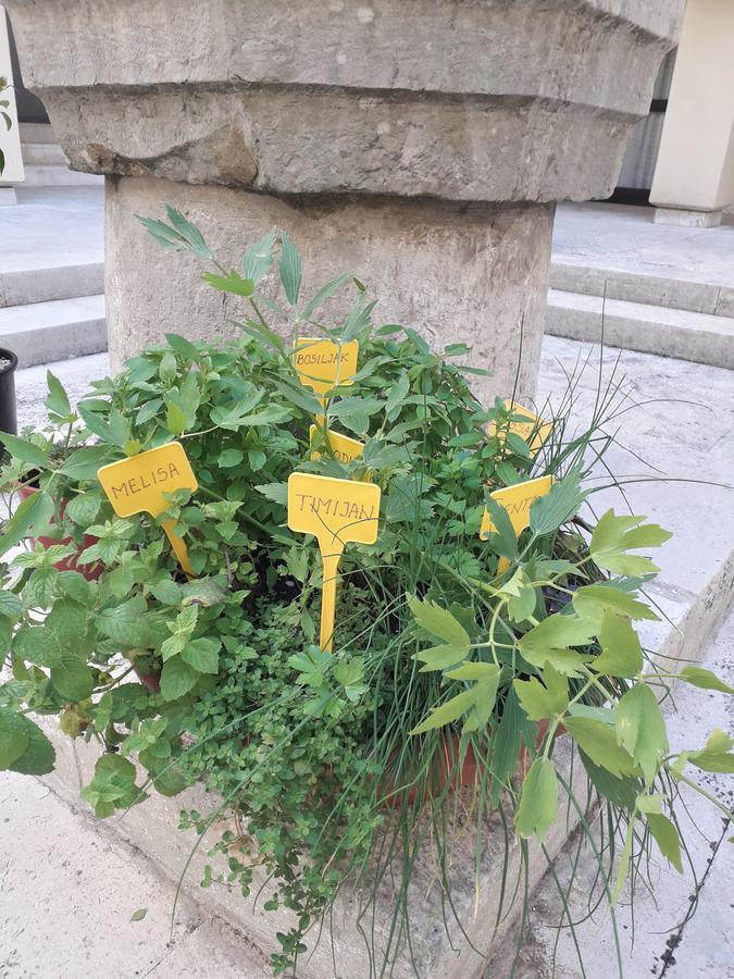 מאלינסקה Apartments And Rooms Haludovo - Ribarsko Selo מראה חיצוני תמונה