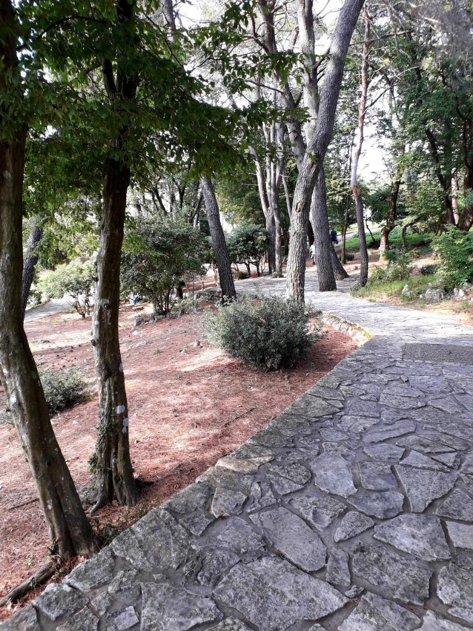 מאלינסקה Apartments And Rooms Haludovo - Ribarsko Selo מראה חיצוני תמונה